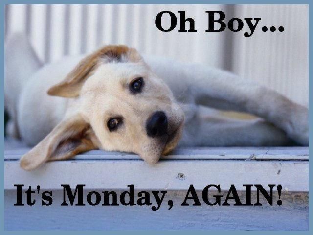 Monday