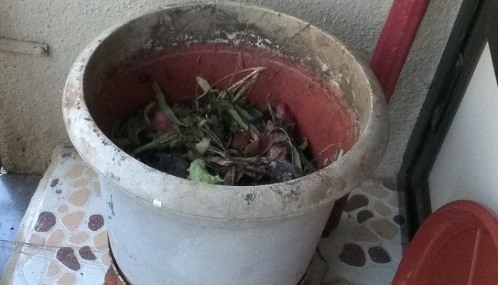 #Composting Odyssey of a City Dweller – Uncut