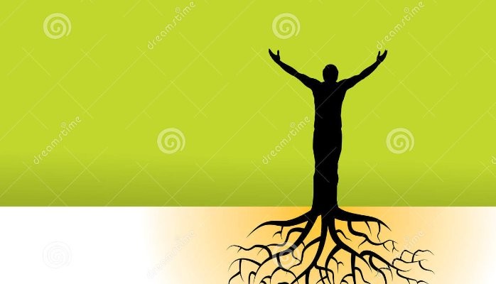 human tree